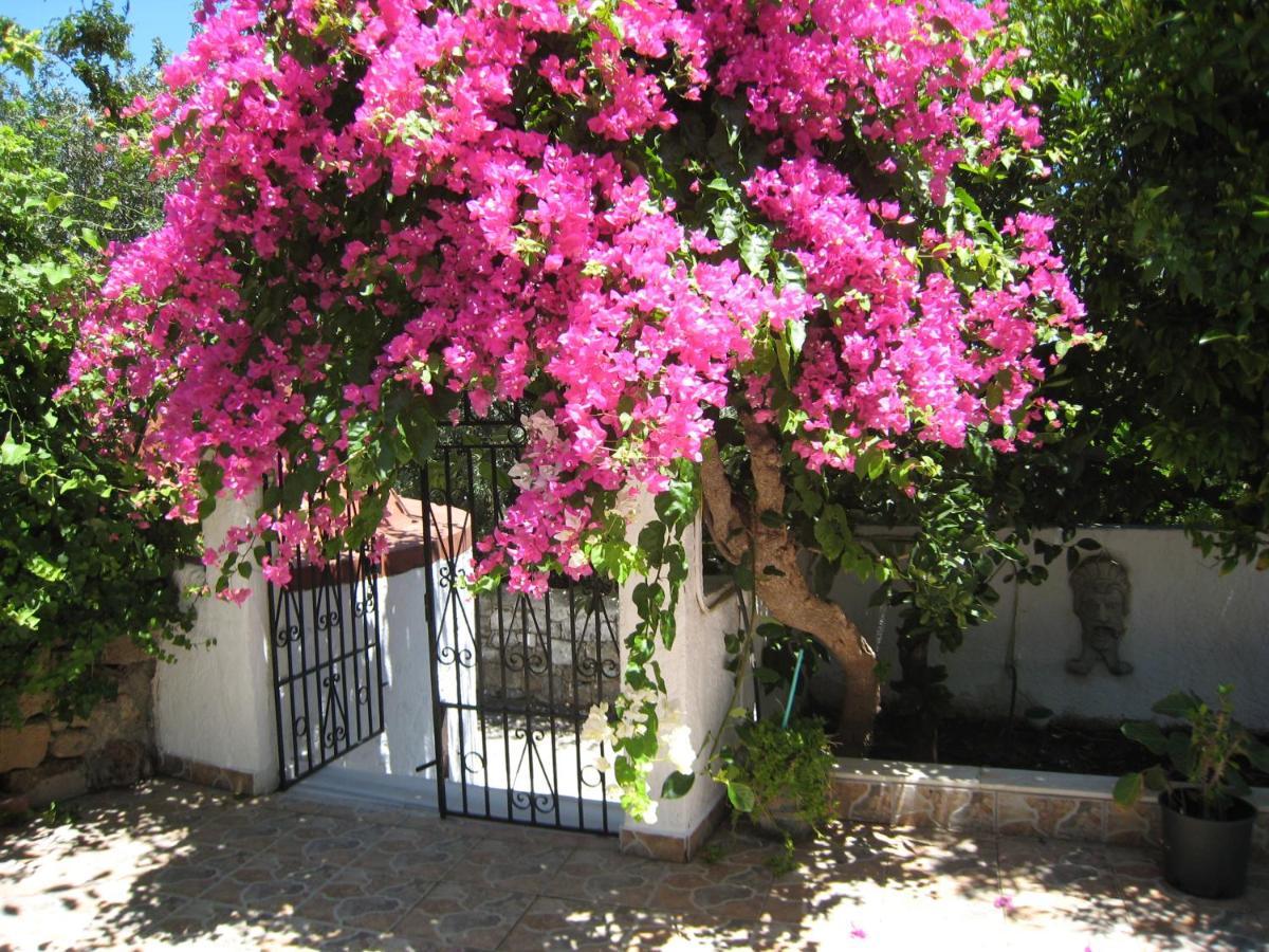 Eleftheria Lindian Studios I Líndos Exterior foto